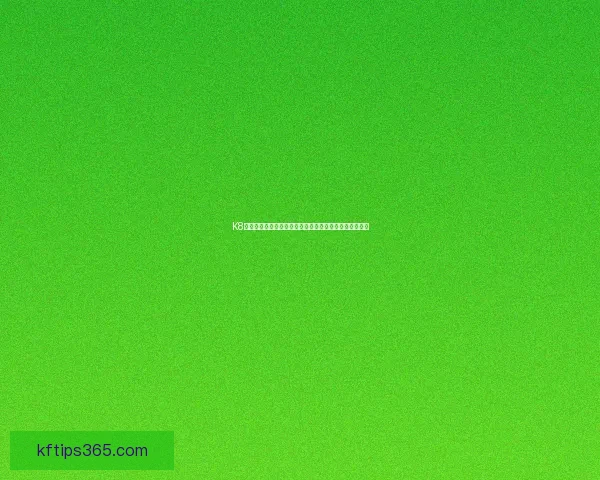 K8凯发登录入口全面指南助您轻松掌握平台功能与操作技巧